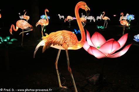 lumieres de chine longchamp